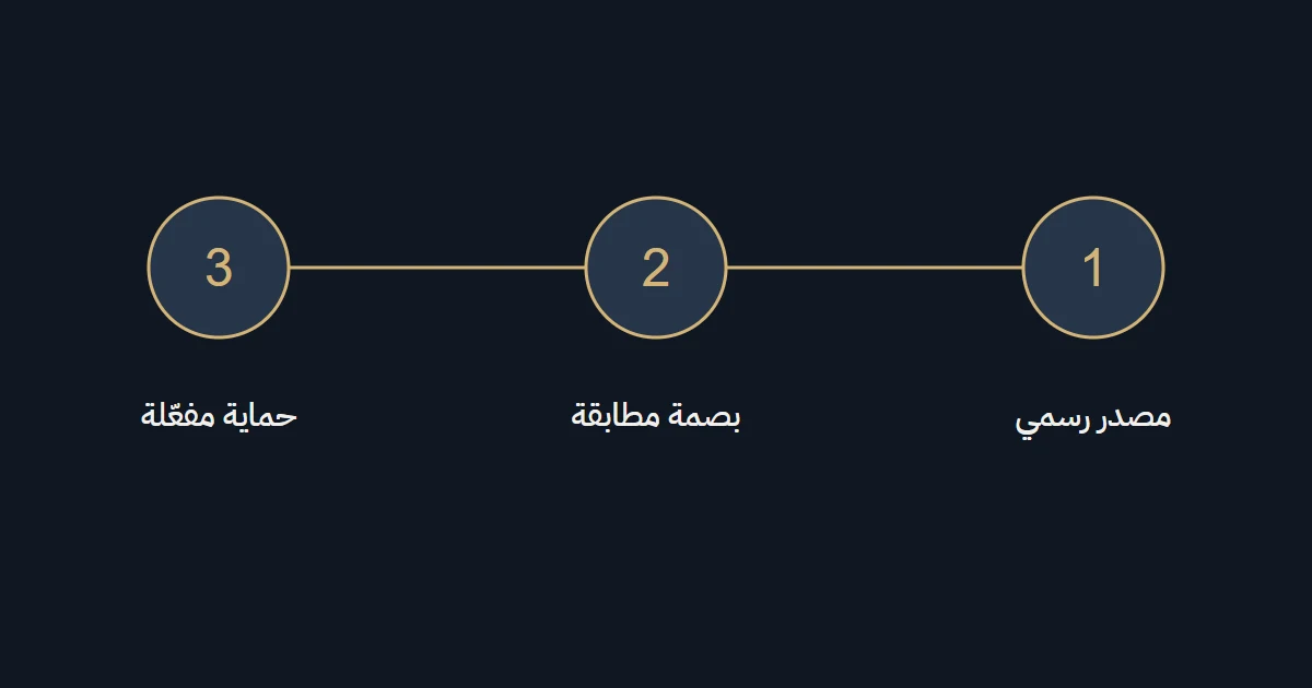 رسم B52 يوضح نقاط التحقق في هذا الدليل